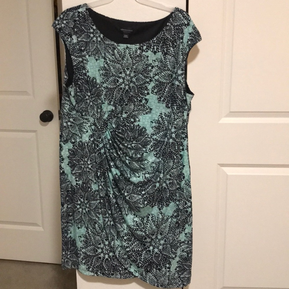 Cinched dress. Barely worn and very flattering.